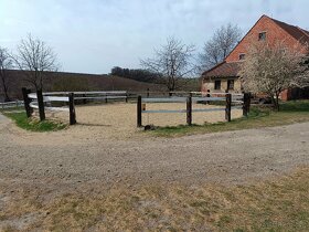 Ustájení koní - inhalační solná terapie koní - 3