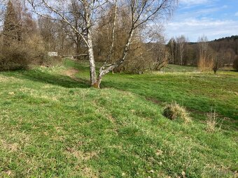 Ustájení - hřebec, valach - 3