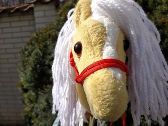 Hobby horse - 3