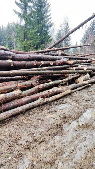 Prodám palivové dřevo - 3