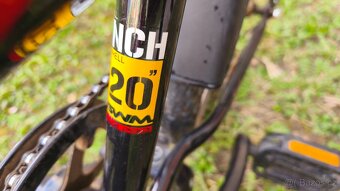 Leader Fox - Bear - 3