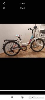 Kolo 20" Leader afox - 3