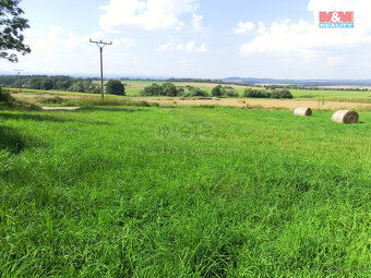Prodej pozemku, 3885 m², Radenín - 3