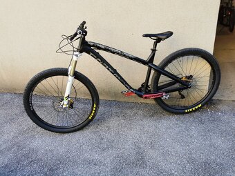 4X / freeride Dartmoor Hornet stavba na míru - 3