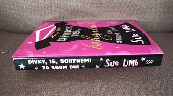 Dívky, 16, bohyněmi za sedm dní (Sue Limb), - 3
