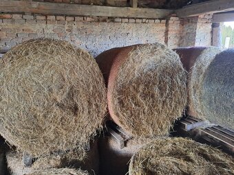 Kulaté balíky sena - 3