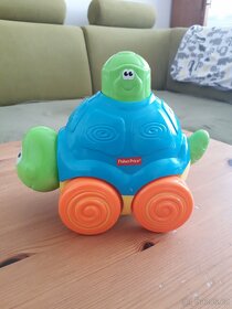 Jezdící želva - 3