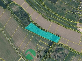 Prodej ostatní pozemky, 13 505 m2 - Bechlín, ev.č. 02078 - 3