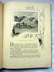 Němcová - Babička 2. vydání 1895 - 3