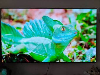 OLED LG Evo "65" (165cm) - 3