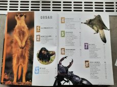 Prodám knihu 1000 DIVŮ PŘÍRODY. - 3