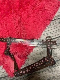 Postroj pro pejska - buldoček apod. - 3