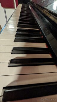 Piano Dalibor - 3