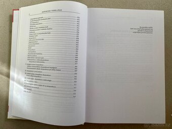 Akupunktura v teorii a praxi Autor Radomír Růžička - 3
