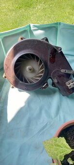 Skoda 1000 MB - 3