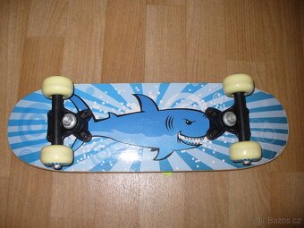 skateboard - 3
