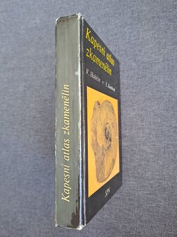 Kapesní atlas zkamenělin - Habětín, Knobloch - 3