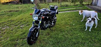 Suzuki sv 650 - 3