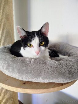 🐾Nudlička🐾 - 3