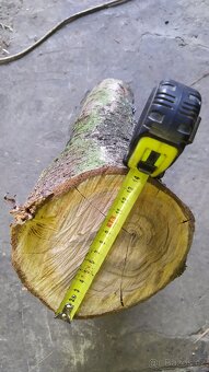 Špalek, dřevo ovocný strom - 3