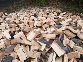 Palivové dřevo tvrdé Dub Javor jasan... štípané - 3