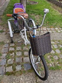 Tříkolka Leader Fox - 3