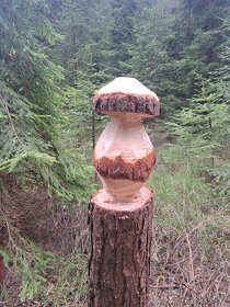 Dřevěné houby - 3