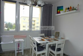 Prodej útulného bytu 1+1 po částečné rekonstrukci v Dobřanec - 3
