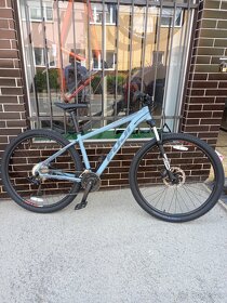 FUJI Nevada LTD 1.7 29"- SATIN GREY - 3