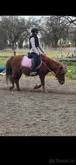 Prodám pony valacha - 3