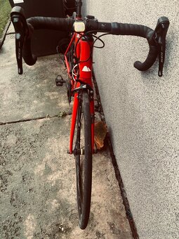 Canyon endurace cf 7 - 3