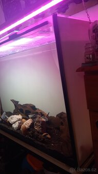 Akvarium 490l - 3