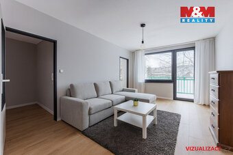 Prodej bytu 2+1, 46 m², Teplice, ul. Alejní - 3