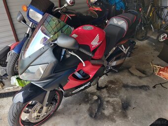 Honda CBR 600 F4i - 2004 - 3