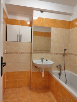 Pronajmu byt 2+1 - 3