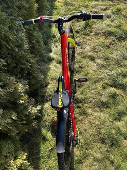 Core Nipper vel. 20 - 3