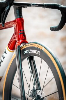 Ridley Falcn RS Herritage / Polymer Workshop - CUSTOM - 3