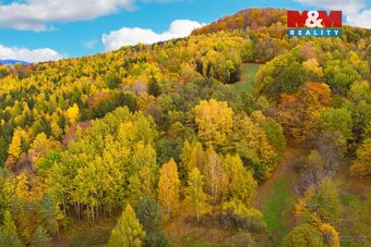 Prodej lesa, 3004 m², Skalice u České Lípy - 3