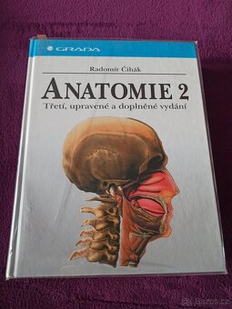 Anatomie Čihák - 3