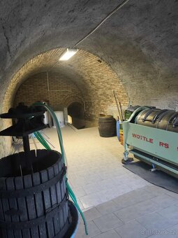 Vinný sklep Dolní Kounice - 3