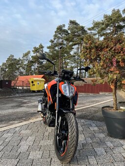 KTM Duke 125 2020 - 3