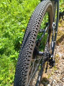 WTB Riddler 700x37 - 3