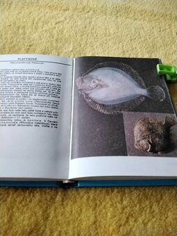 Atlas ryb a plazu - 3