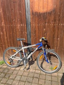 Dětské kolo 15” - 3