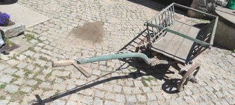 Žebřiňák - 3