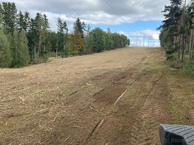 Údržba zeleně, Rekultivace, Drcení lesní frézou - 3