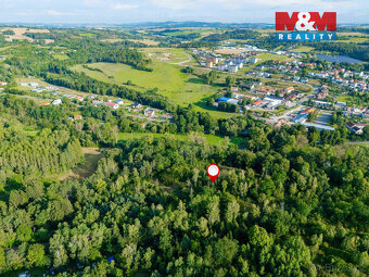 Prodej lesa ve Velkém Meziříčí - 3