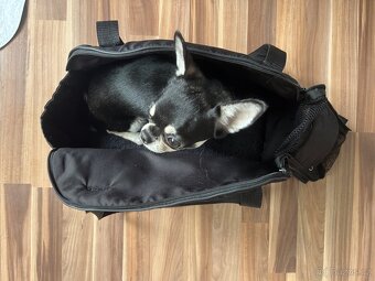Taška O´LALA PETS Queen 40cm, černá - 3
