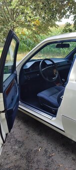 Mercedes Benz 250 - 3