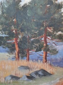 Obraz Krajina tři borovice 34,5 x 28 cm // rám 46 x 40 cm - 3